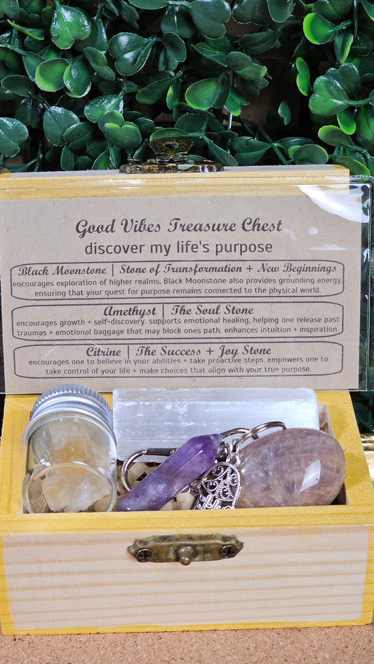 Discover My Life's Purpose - Treasure Chest